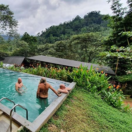 Sinharaja Forest Gate Deniyaya Exterior foto