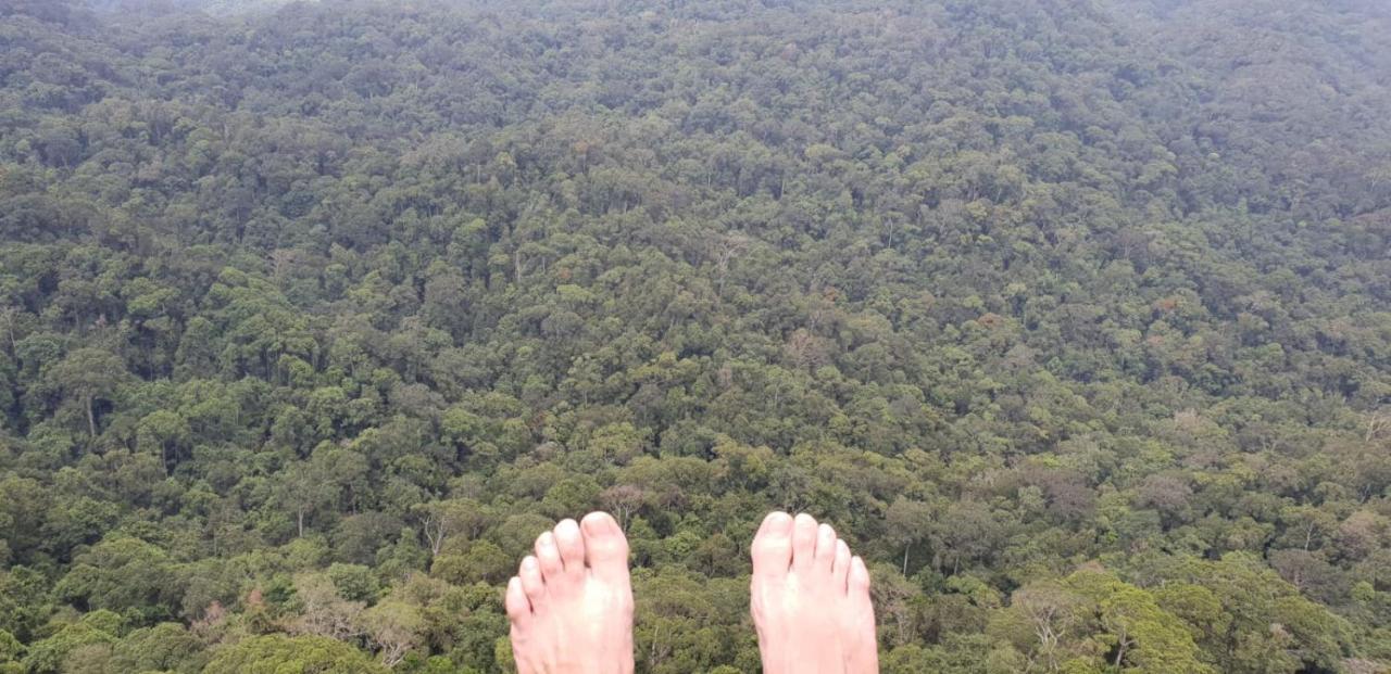 Sinharaja Forest Gate Deniyaya Exterior foto