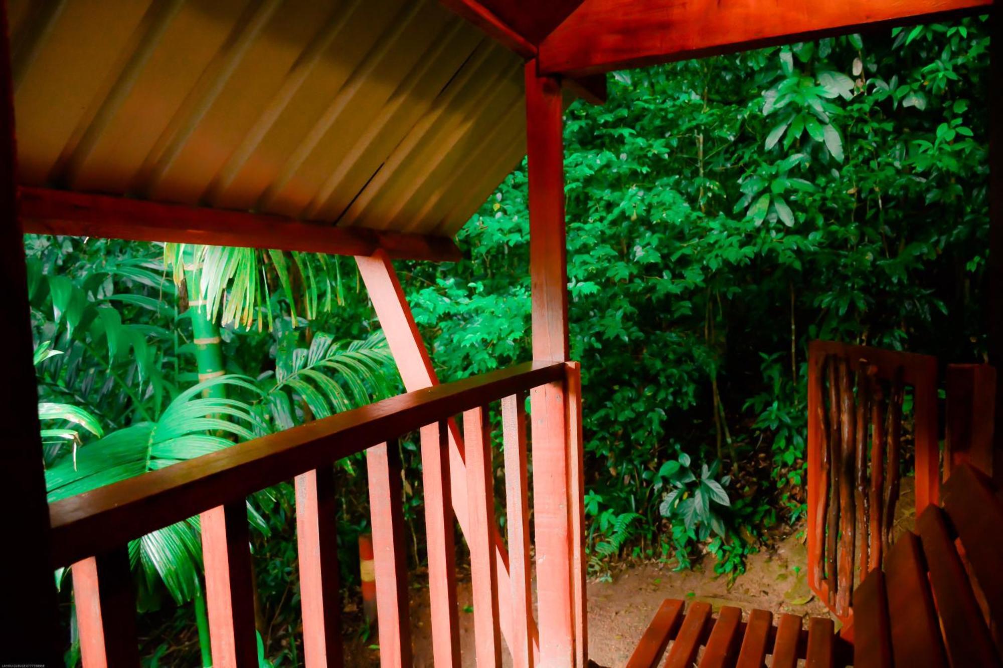 Sinharaja Forest Gate Deniyaya Exterior foto